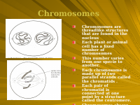 CELL DIVISION AND REPRODUCTION IN PLANTS.pptx